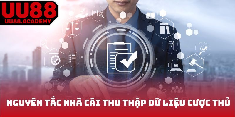 Hoạt động nhà cái thu thập dữ liệu cược thủ
