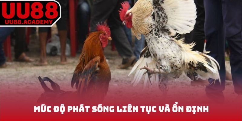 Mức độ phát sóng liên tục và ổn định